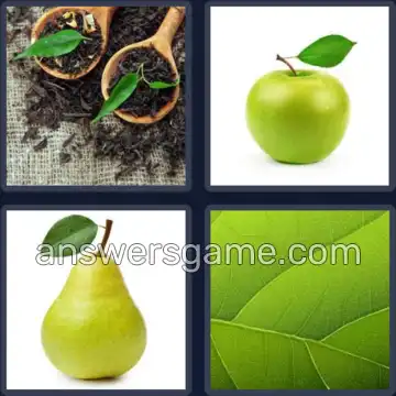 4 Pics 1 Word 4 Letters LEAF