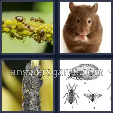 4 Pics 1 Word 4 Letters PEST