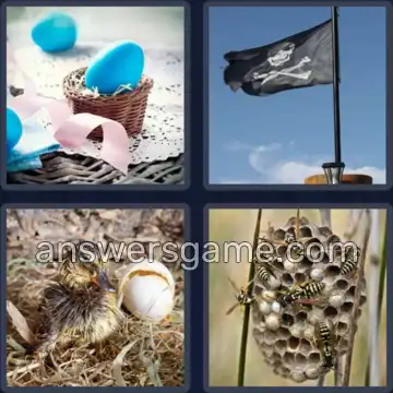 4 Pics 1 Word 4 Letters NEST
