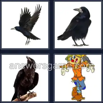 4 Pics 1 Word 4 Letters CROW