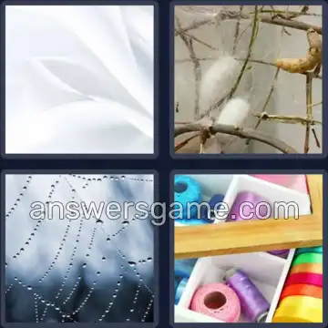 4 Pics 1 Word 4 Letters SILK