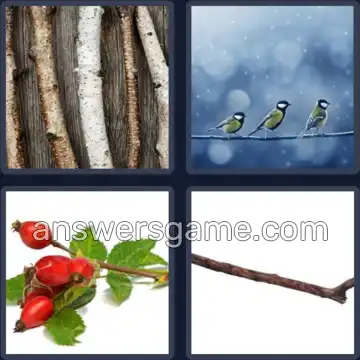 4 Pics 1 Word 4 Letters TWIG