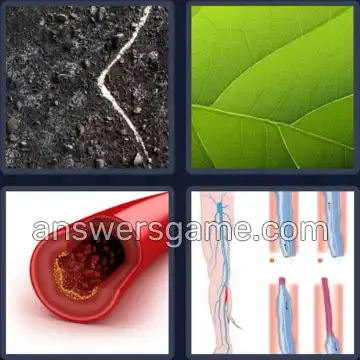 4 Pics 1 Word 4 Letters VEIN