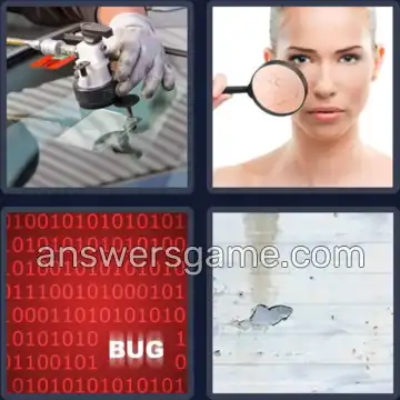 4 Pics 1 Word 4 Letters FLAW