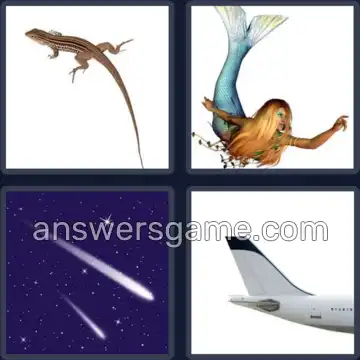 4 Pics 1 Word 4 Letters TAIL