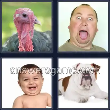 4 Pics 1 Word 4 Letters JOWL