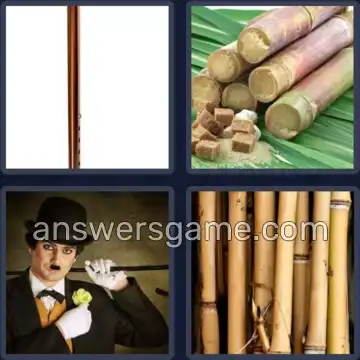 4 Pics 1 Word 4 Letters CANE