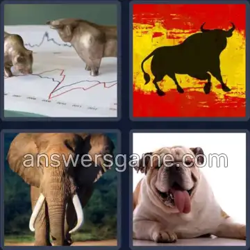 4 Pics 1 Word 4 Letters BULL