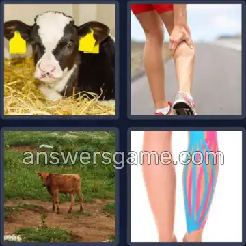 4 Pics 1 Word 4 Letters CALF