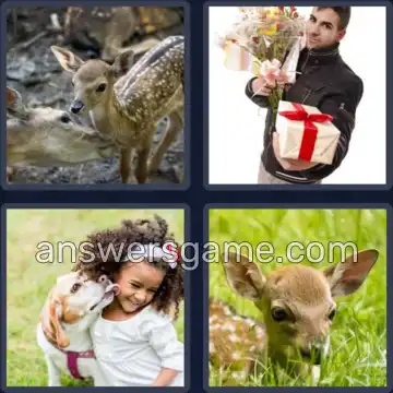 4 Pics 1 Word 4 Letters FAWN