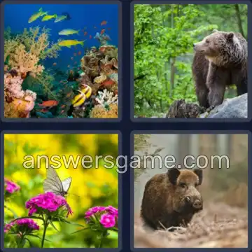 4 Pics 1 Word 4 Letters WILD