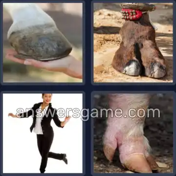 4 Pics 1 Word 4 Letters HOOF