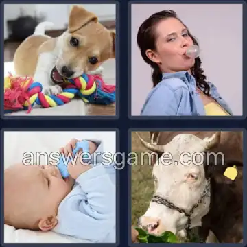 4 Pics 1 Word 4 Letters CHEW