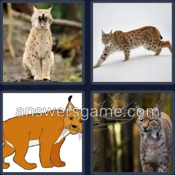 4 Pics 1 Word 4 Letters LYNX