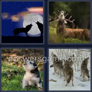 4 Pics 1 Word 4 Letters HOWL
