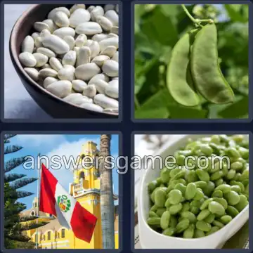 4 Pics 1 Word 4 Letters LIMA