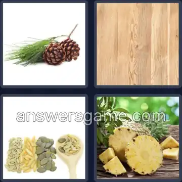 4 Pics 1 Word 4 Letters PINE