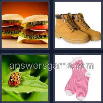 4 Pics 1 Word 4 Letters PAIR