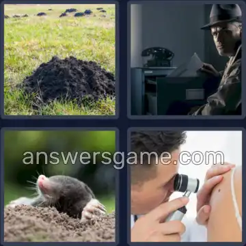 4 Pics 1 Word 4 Letters MOLE