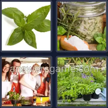 4 Pics 1 Word 4 Letters HERB