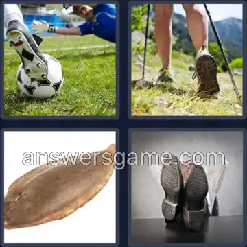 4 Pics 1 Word 4 Letters SOLE