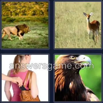 4 Pics 1 Word 4 Letters PREY