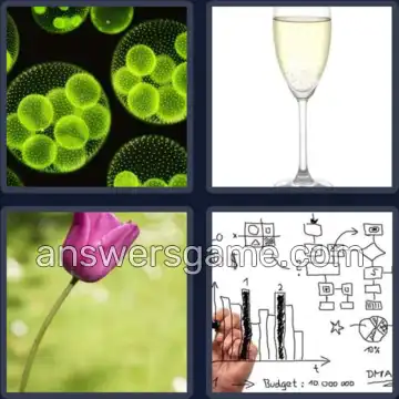 4 Pics 1 Word 4 Letters STEM