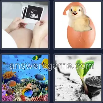 4 Pics 1 Word 4 Letters LIFE
