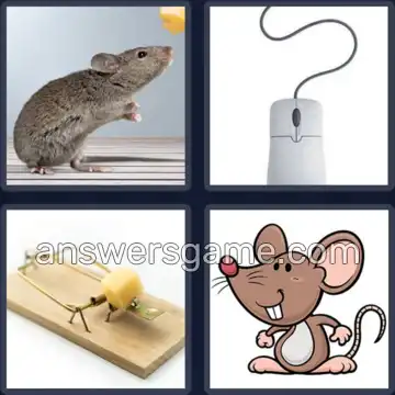 4 Pics 1 Word 5 Letters MOUSE