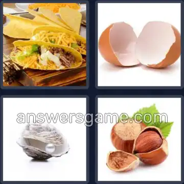4 Pics 1 Word 5 Letters SHELL