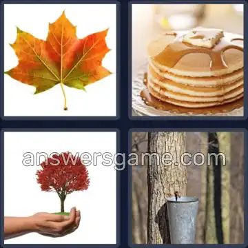 4 Pics 1 Word 5 Letters MAPLE