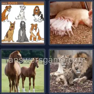 4 Pics 1 Word 5 Letters BREED