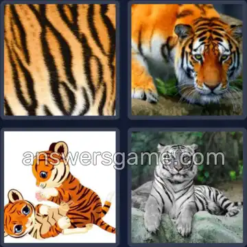 4 Pics 1 Word 5 Letters TIGER