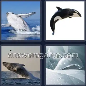 4 Pics 1 Word 5 Letters WHALE