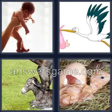 4 Pics 1 Word 5 Letters BIRTH