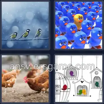 4 Pics 1 Word 5 Letters BIRDS