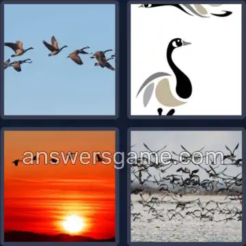 4 Pics 1 Word 5 Letters GEESE