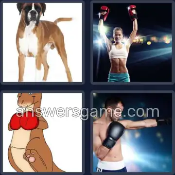 4 Pics 1 Word 5 Letters BOXER