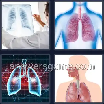 4 Pics 1 Word 5 Letters LUNGS