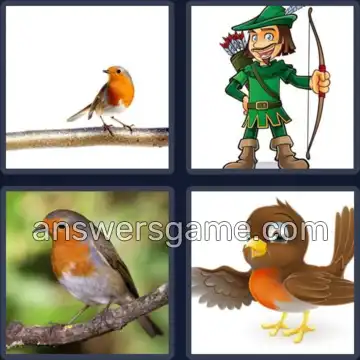 4 Pics 1 Word 5 Letters ROBIN