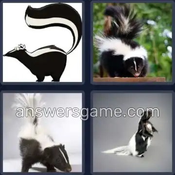 4 Pics 1 Word 5 Letters SKUNK