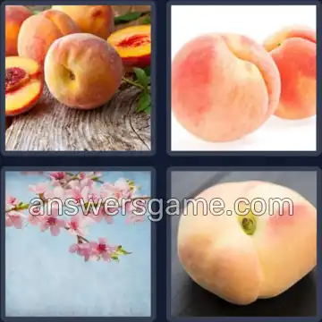 4 Pics 1 Word 5 Letters PEACH