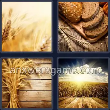4 Pics 1 Word 5 Letters WHEAT