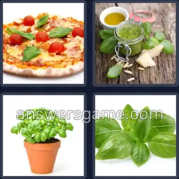 4 Pics 1 Word 5 Letters BASIL