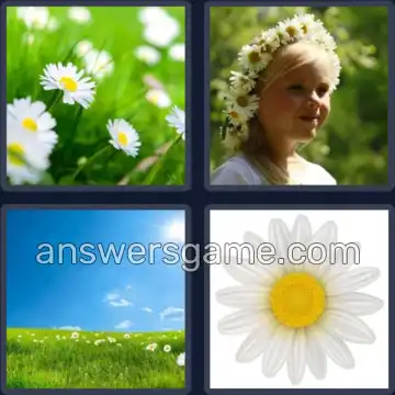 4 Pics 1 Word 5 Letters DAISY