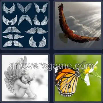4 Pics 1 Word 5 Letters WINGS