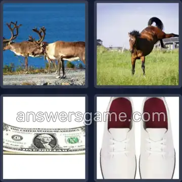 4 Pics 1 Word 5 Letters BUCKS
