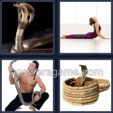 4 Pics 1 Word 5 Letters COBRA