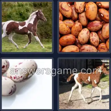 4 Pics 1 Word 5 Letters PINTO