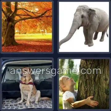 4 Pics 1 Word 5 Letters TRUNK